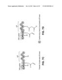 PRODUCING ALPHA-OLEFINS USING POLYKETIDE SYNTHASES diagram and image