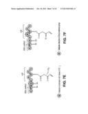 PRODUCING ALPHA-OLEFINS USING POLYKETIDE SYNTHASES diagram and image