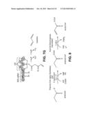 PRODUCING ALPHA-OLEFINS USING POLYKETIDE SYNTHASES diagram and image