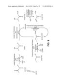 PRODUCING ALPHA-OLEFINS USING POLYKETIDE SYNTHASES diagram and image