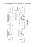 PRODUCING ALPHA-OLEFINS USING POLYKETIDE SYNTHASES diagram and image