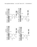 PRODUCING ALPHA-OLEFINS USING POLYKETIDE SYNTHASES diagram and image