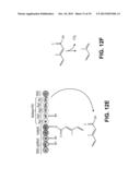 PRODUCING ALPHA-OLEFINS USING POLYKETIDE SYNTHASES diagram and image