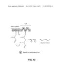 PRODUCING ALPHA-OLEFINS USING POLYKETIDE SYNTHASES diagram and image