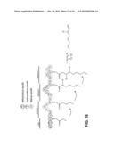 PRODUCING ALPHA-OLEFINS USING POLYKETIDE SYNTHASES diagram and image