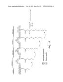 PRODUCING ALPHA-OLEFINS USING POLYKETIDE SYNTHASES diagram and image