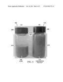 Novel Process for Separating Lipids from a Biomass diagram and image