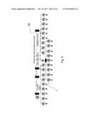 METHOD AND DEVICE FOR MANAGING ELECTRIC ENERGY CONSUMPTION AND/OR     PRODUCTION diagram and image