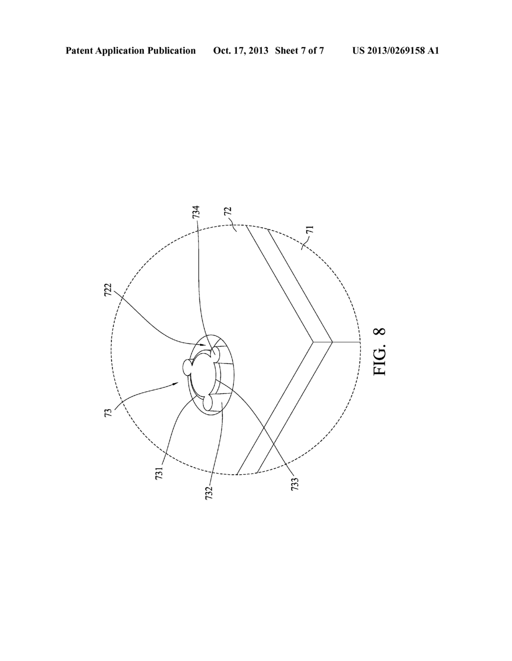 POSITIONING POLE AND A POSITIONING SYSTEM AND A METHOD OF POSITIONING A     POLE TO A COVERING - diagram, schematic, and image 08