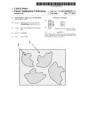 Stone-Effect Articles And Methods For Making Same diagram and image