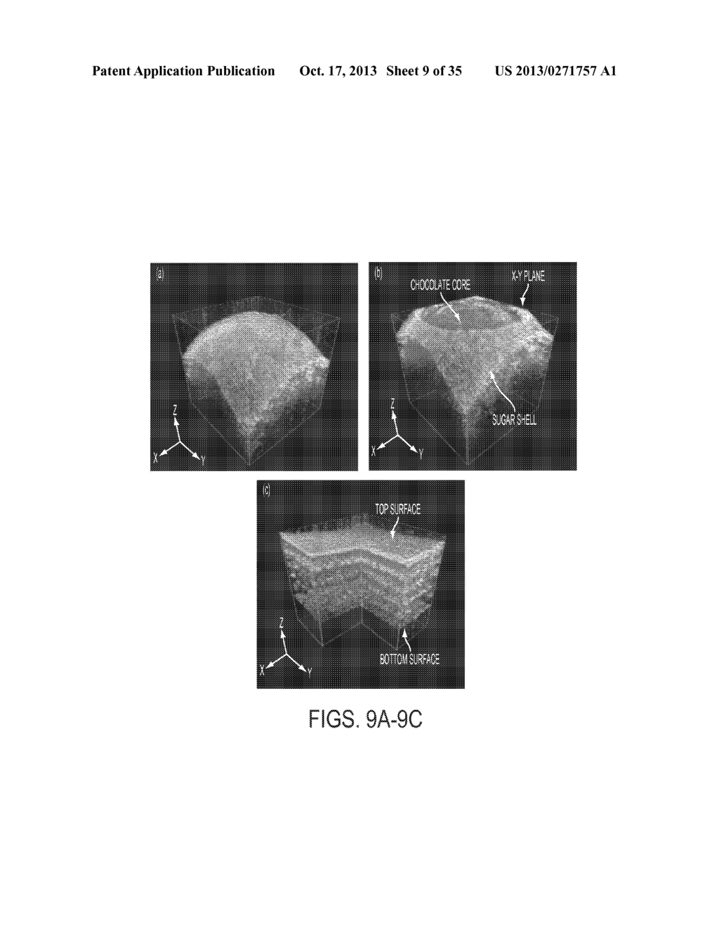 REAL-TIME, THREE-DIMENSIONAL OPTICAL COHERENCE TOMOGRAPNY SYSTEM - diagram, schematic, and image 10