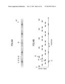 IMAGE PROCESSING APPARATUS AND METHOD OF SUPPLEMENTING PIXEL VALUE diagram and image