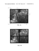 CURVED BEZEL-CONCEALING DISPLAY DEVICE COVERS AND BEZEL-FREE DISPLAY     DEVICES diagram and image