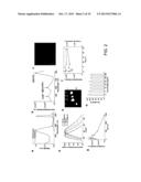 RET2IR CONJUGATES, RET2IR CONJUGATE SYSTEMS AND METHODS OF USE THEREOF diagram and image