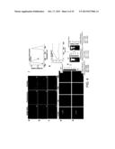 RET2IR CONJUGATES, RET2IR CONJUGATE SYSTEMS AND METHODS OF USE THEREOF diagram and image