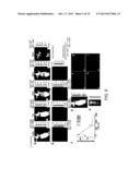 RET2IR CONJUGATES, RET2IR CONJUGATE SYSTEMS AND METHODS OF USE THEREOF diagram and image