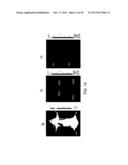 RET2IR CONJUGATES, RET2IR CONJUGATE SYSTEMS AND METHODS OF USE THEREOF diagram and image