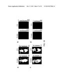 RET2IR CONJUGATES, RET2IR CONJUGATE SYSTEMS AND METHODS OF USE THEREOF diagram and image