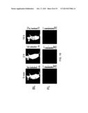 RET2IR CONJUGATES, RET2IR CONJUGATE SYSTEMS AND METHODS OF USE THEREOF diagram and image