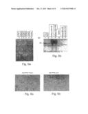 POLYNUCLEOTIDE CONSTRUCTS, PHARMACEUTICAL COMPOSITIONS AND METHODS FOR     TARGETED DOWNREGULATIONS OF ANGIOGENESIS AND ANTICANCER THERAPY diagram and image