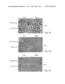 POLYNUCLEOTIDE CONSTRUCTS, PHARMACEUTICAL COMPOSITIONS AND METHODS FOR     TARGETED DOWNREGULATIONS OF ANGIOGENESIS AND ANTICANCER THERAPY diagram and image