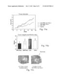 POLYNUCLEOTIDE CONSTRUCTS, PHARMACEUTICAL COMPOSITIONS AND METHODS FOR     TARGETED DOWNREGULATIONS OF ANGIOGENESIS AND ANTICANCER THERAPY diagram and image