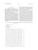 POLYNUCLEOTIDE CONSTRUCTS, PHARMACEUTICAL COMPOSITIONS AND METHODS FOR     TARGETED DOWNREGULATIONS OF ANGIOGENESIS AND ANTICANCER THERAPY diagram and image