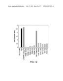 NOVEL ANTI-IGF-IR ANTIBODIES AND USES THEREOF diagram and image