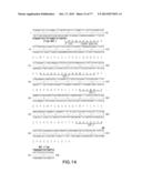 NOVEL ANTI-IGF-IR ANTIBODIES AND USES THEREOF diagram and image