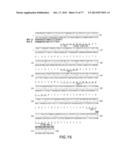 NOVEL ANTI-IGF-IR ANTIBODIES AND USES THEREOF diagram and image