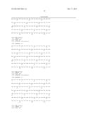 NOVEL ANTI-IGF-IR ANTIBODIES AND USES THEREOF diagram and image