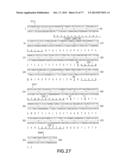 NOVEL ANTI-IGF-IR ANTIBODIES AND USES THEREOF diagram and image