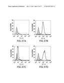 NOVEL ANTI-IGF-IR ANTIBODIES AND USES THEREOF diagram and image