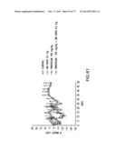 NOVEL ANTI-IGF-IR ANTIBODIES AND USES THEREOF diagram and image