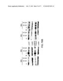 NOVEL ANTI-IGF-IR ANTIBODIES AND USES THEREOF diagram and image