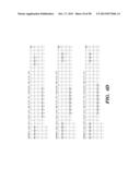 PREPARATION OF ISOLATED AGONIST ANTI-EDAR MONOCLONAL ANTIBODIES diagram and image