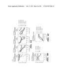 PREPARATION OF ISOLATED AGONIST ANTI-EDAR MONOCLONAL ANTIBODIES diagram and image