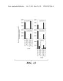 PREPARATION OF ISOLATED AGONIST ANTI-EDAR MONOCLONAL ANTIBODIES diagram and image