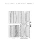 PREPARATION OF ISOLATED AGONIST ANTI-EDAR MONOCLONAL ANTIBODIES diagram and image