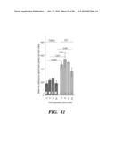 PREPARATION OF ISOLATED AGONIST ANTI-EDAR MONOCLONAL ANTIBODIES diagram and image