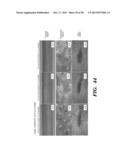 PREPARATION OF ISOLATED AGONIST ANTI-EDAR MONOCLONAL ANTIBODIES diagram and image