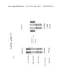 Clotting Factor-Fc Chimeric Proteins to Treat Hemophilia diagram and image