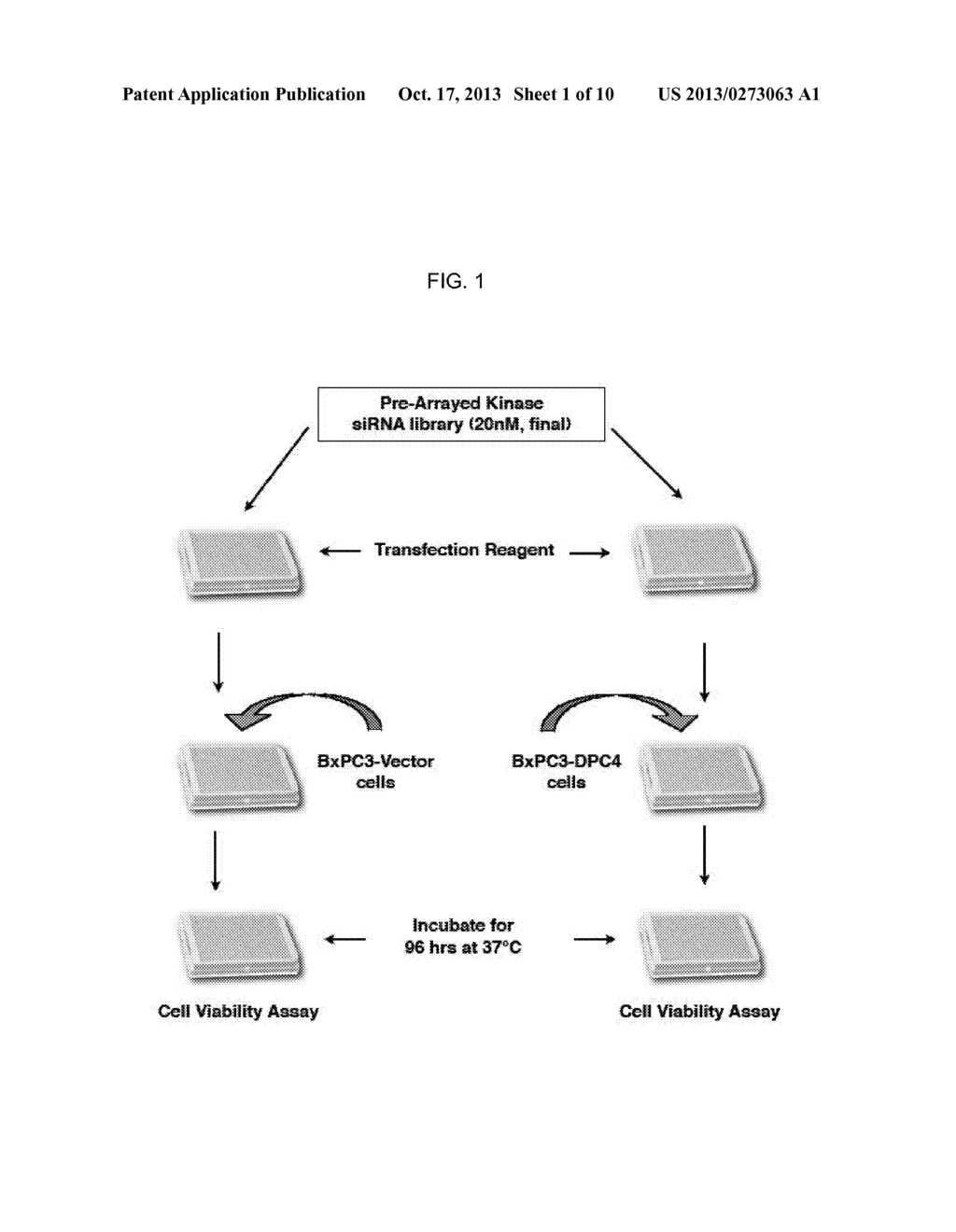 METHODS AND KITS TO PREDICT THERAPEUTIC OUTCOME OF BTK INHIBITORS - diagram, schematic, and image 02