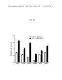 METHODS AND KITS TO PREDICT THERAPEUTIC OUTCOME OF BTK INHIBITORS diagram and image