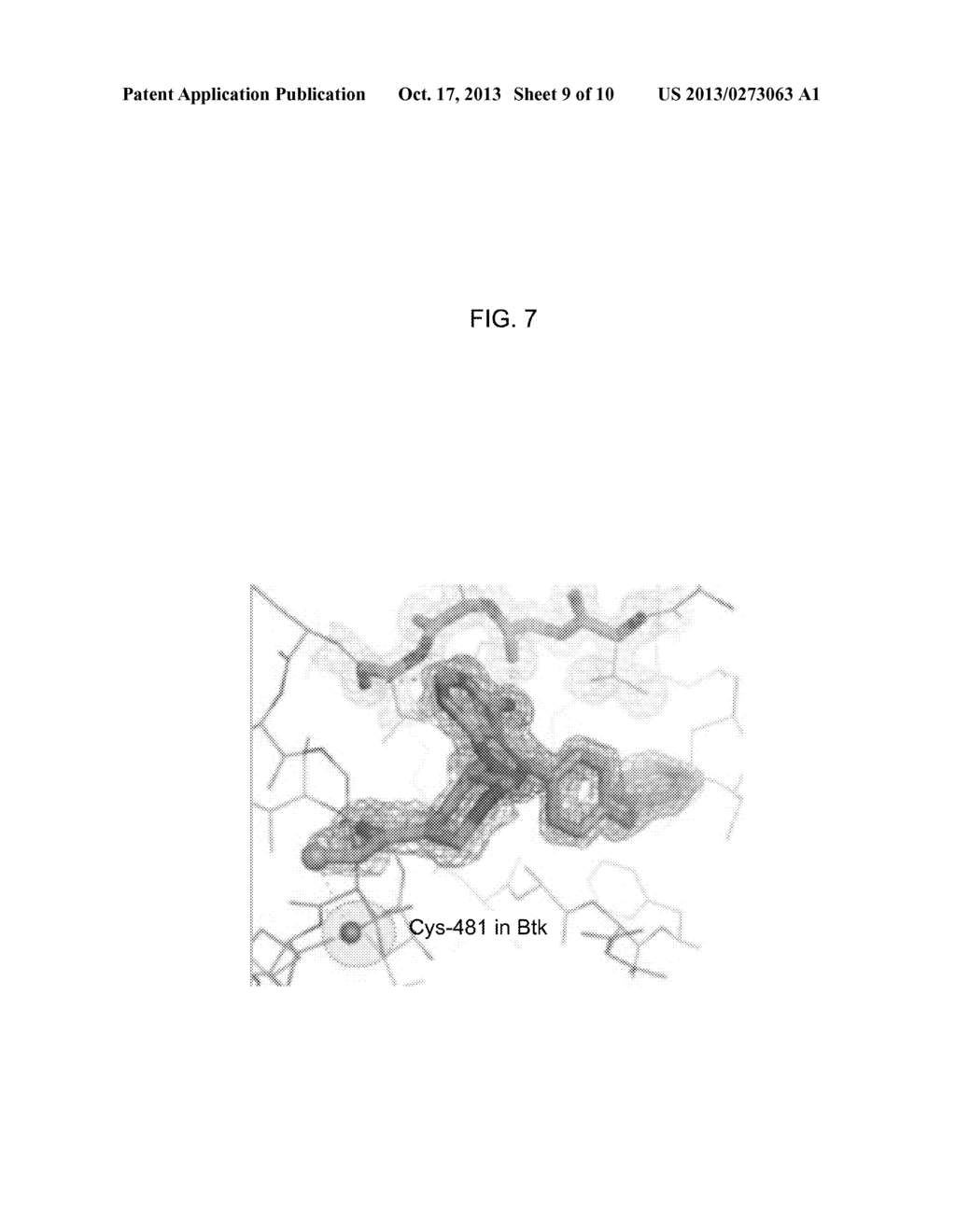 METHODS AND KITS TO PREDICT THERAPEUTIC OUTCOME OF BTK INHIBITORS - diagram, schematic, and image 10