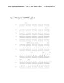 FULLY HUMAN THERAPEUTIC ANTIBODIES SPECIFIC FOR HUMAN CD38 diagram and image