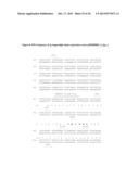 FULLY HUMAN THERAPEUTIC ANTIBODIES SPECIFIC FOR HUMAN CD38 diagram and image