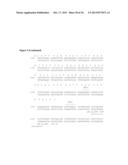 FULLY HUMAN THERAPEUTIC ANTIBODIES SPECIFIC FOR HUMAN CD38 diagram and image