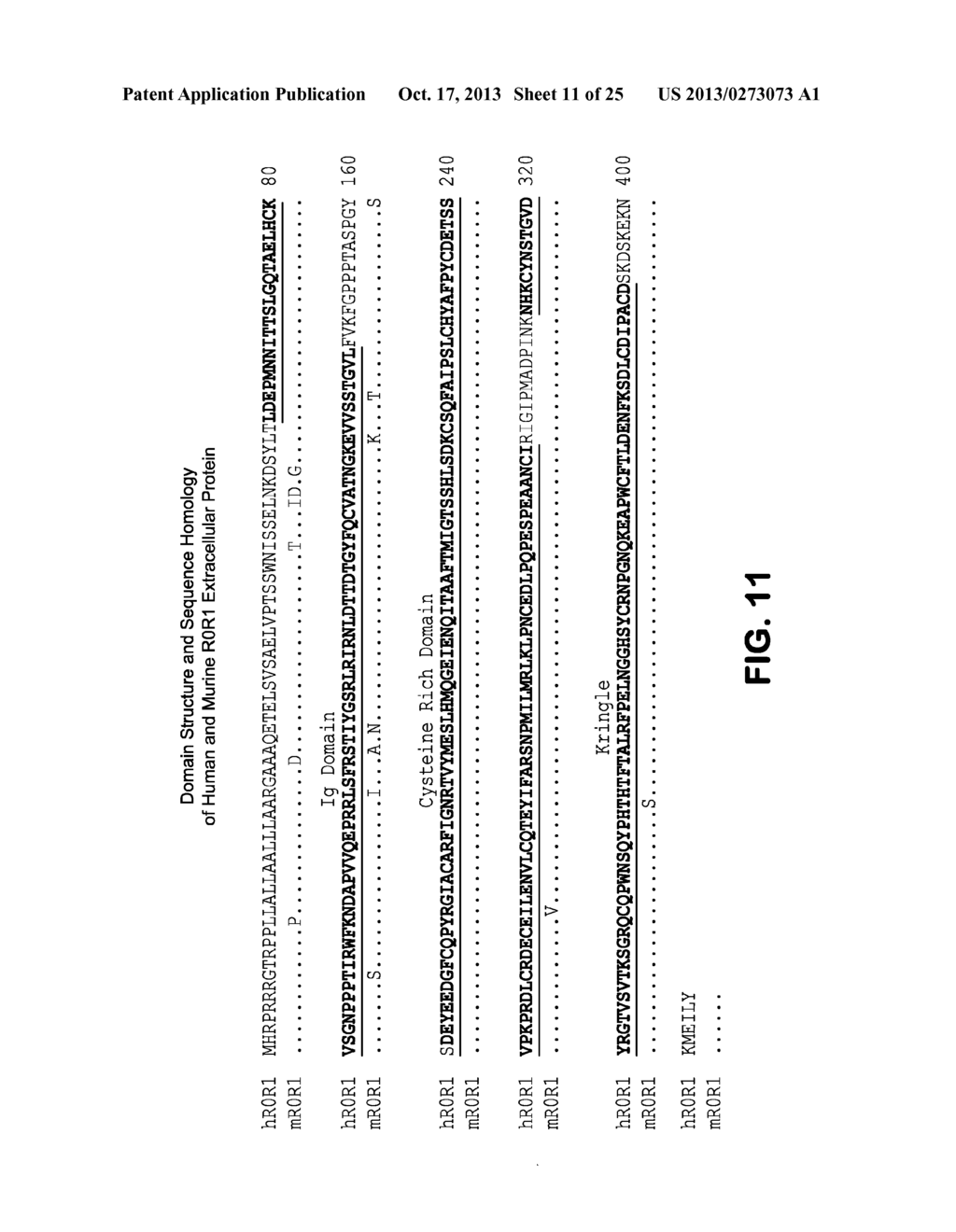 Therapeutic Antibodies against ROR-1 Protein and Methods for Use of Same - diagram, schematic, and image 12