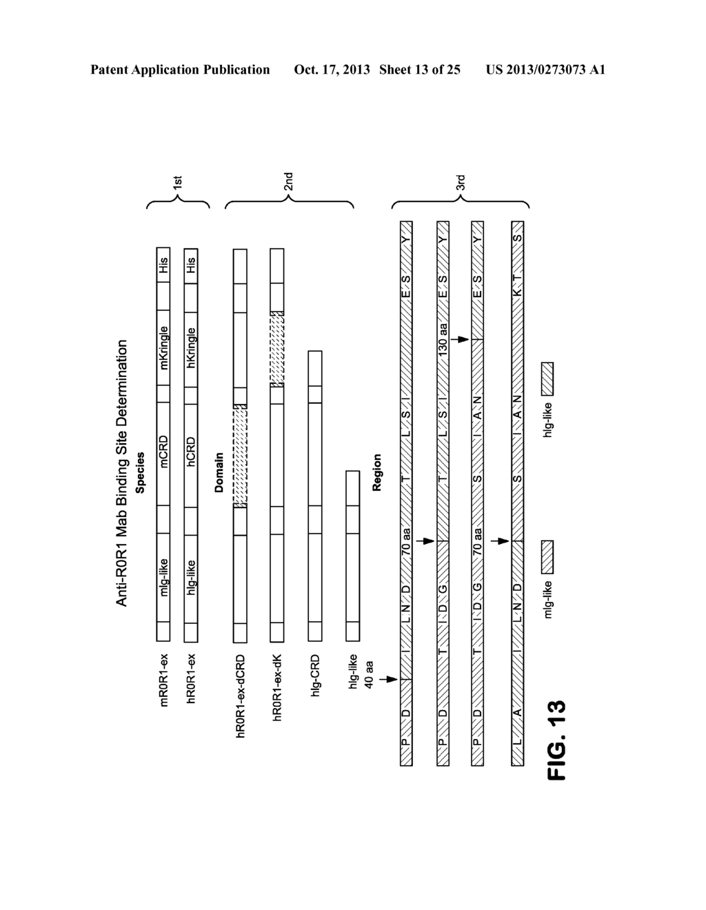 Therapeutic Antibodies against ROR-1 Protein and Methods for Use of Same - diagram, schematic, and image 14
